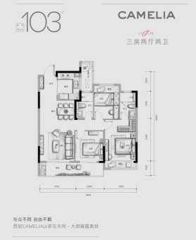 锦上户型图