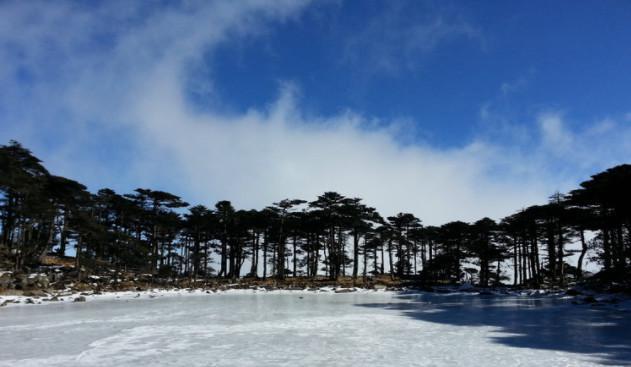 冬季的黑龙潭,景色更美.湖面都结满了厚厚的冰,估计有20多厘米厚