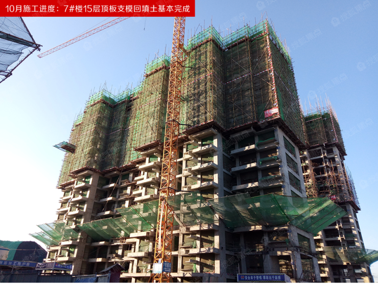 【橄榄绿洲·和雅】10月施工抢鲜看