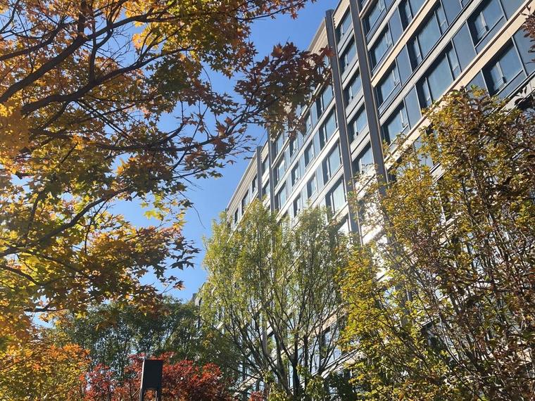 中海中旅·翠湖玖章实景图