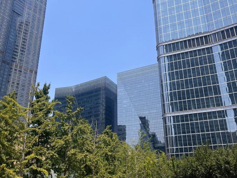 金桐拾贰实景图