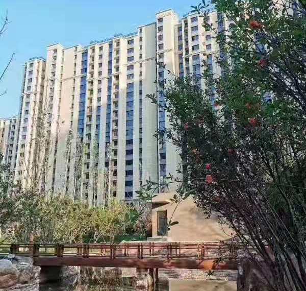 京东狮子城实景图