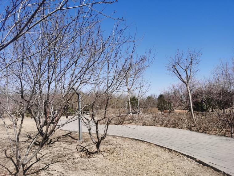 顺鑫颐和天璟·禧润周边配套图