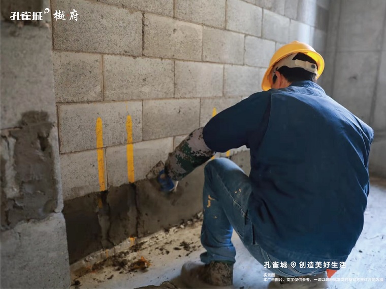 樾府施工进度图