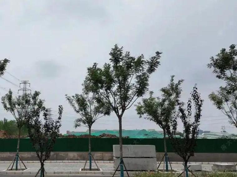 和樾玉鸣施工进度图