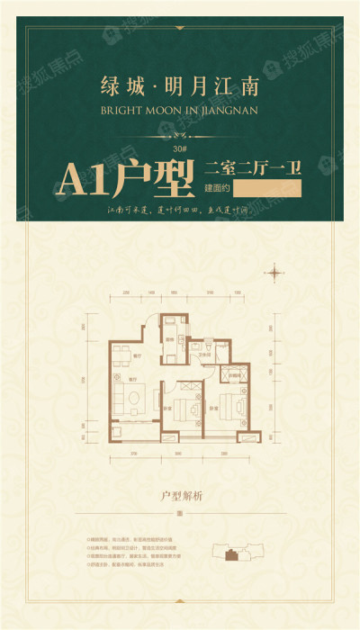 绿城明月江南a1_绿城明月江南户型图-衡水搜狐焦点网