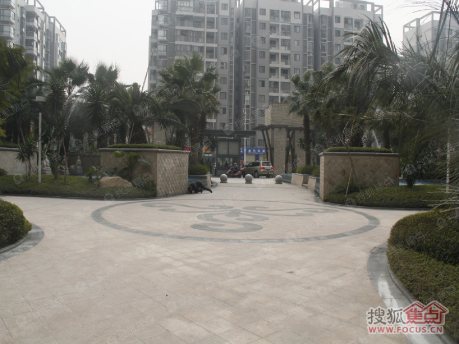 棕榈长滩实景图_棕榈长滩环境怎么样-成都搜狐焦点网