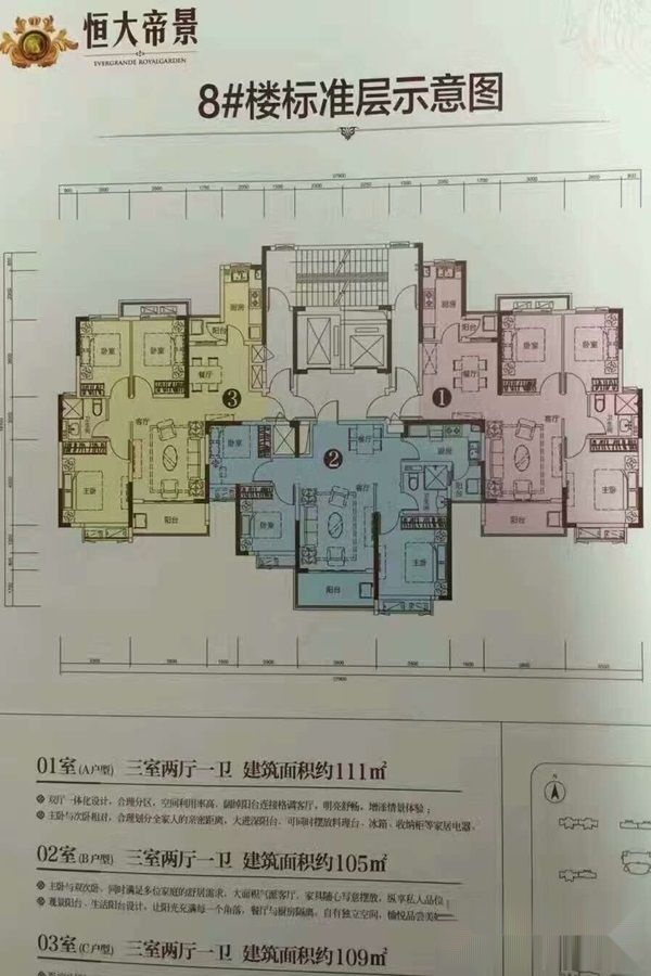 恒大帝景8号楼1号房户型_恒大帝景户型图-武汉搜狐