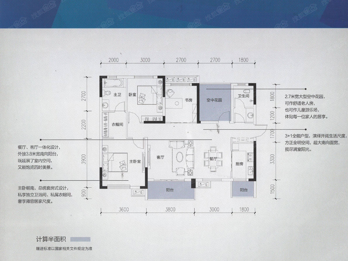 卢浮原著