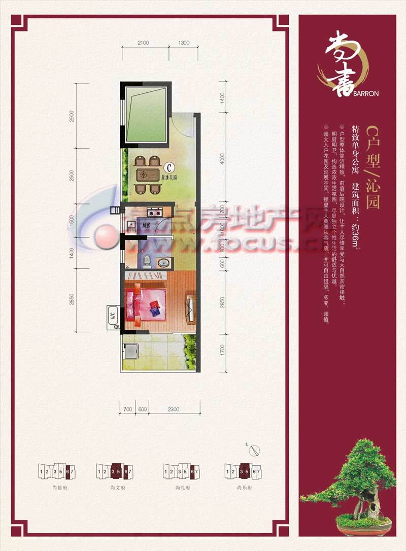尚书苑尚书苑c一室一厅一卫36平米_尚书苑户型图-东莞搜狐焦点网