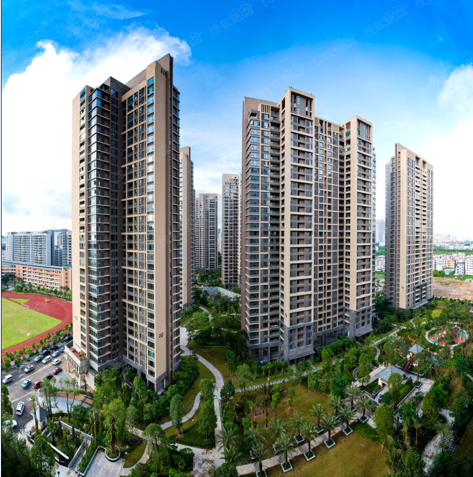 焦点珠海经纪公司