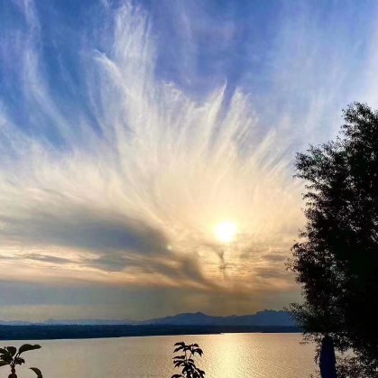 时光不语静待花开