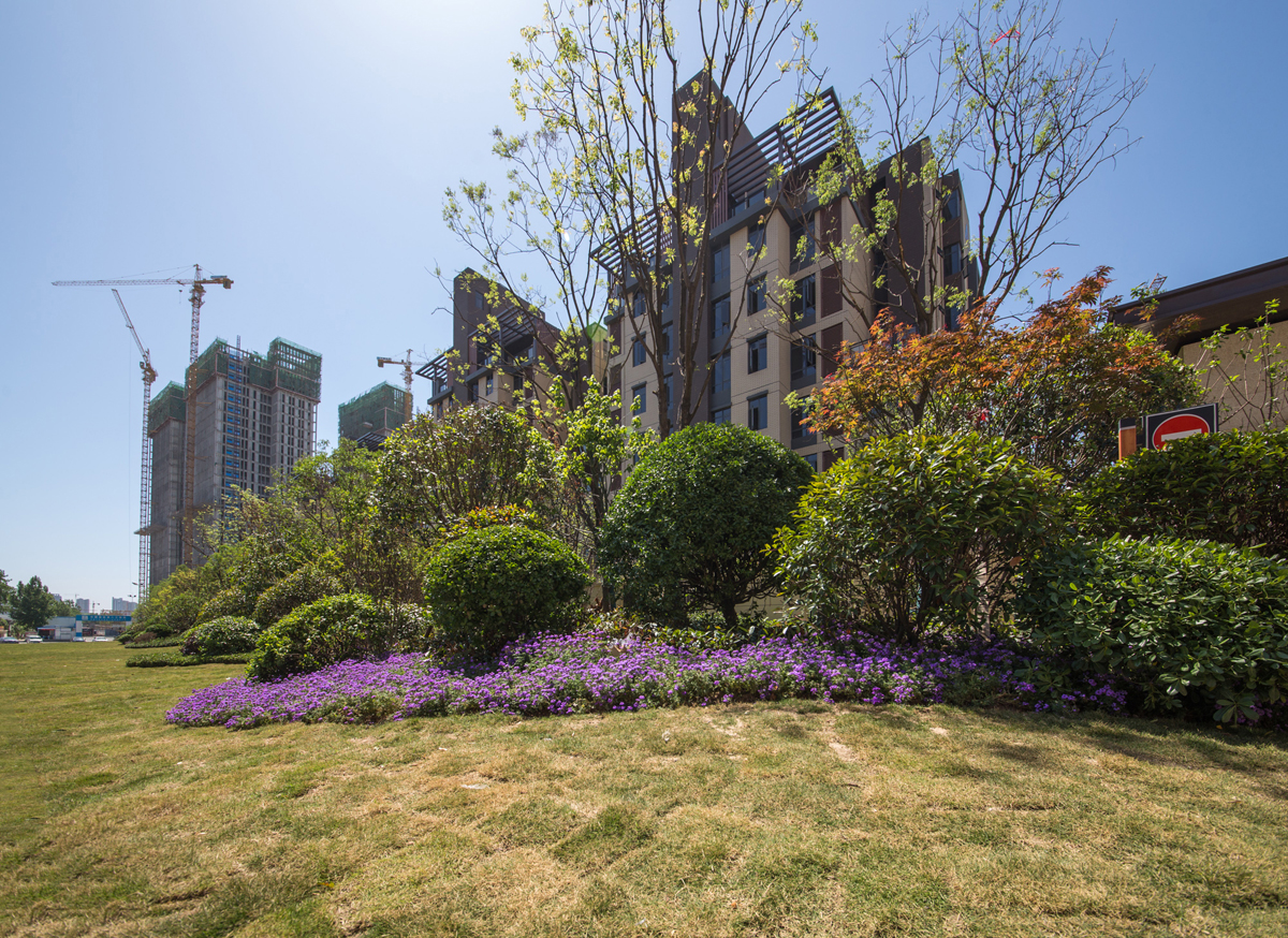 【叶县·美好生活家园】美好童行,你期待的亲子拾趣之旅来了!