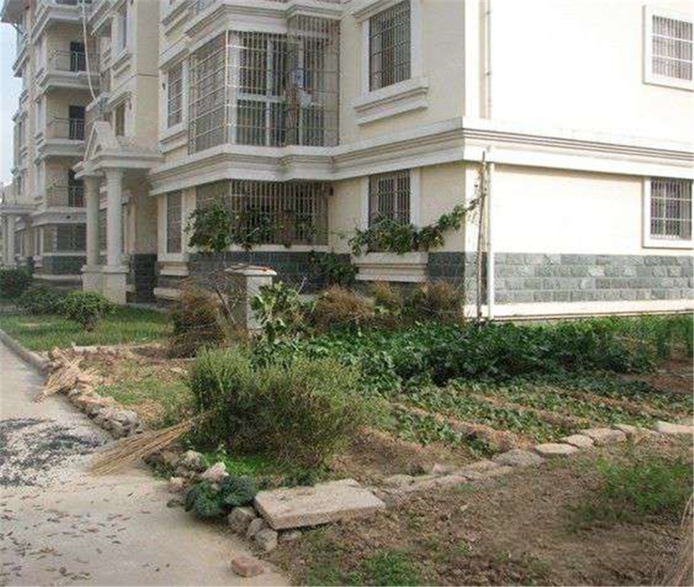 按揭九九一次性98_富荣花园最新动态-亳州搜狐焦点网