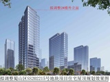 伟星T10
