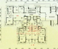 广州碧桂园凤凰城地址_户型图_房价-广州搜狐焦点