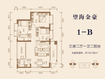 望海金豪户型图