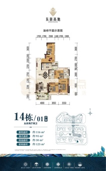 东新高地户型图