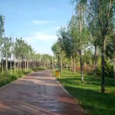 周公河湿地公园
