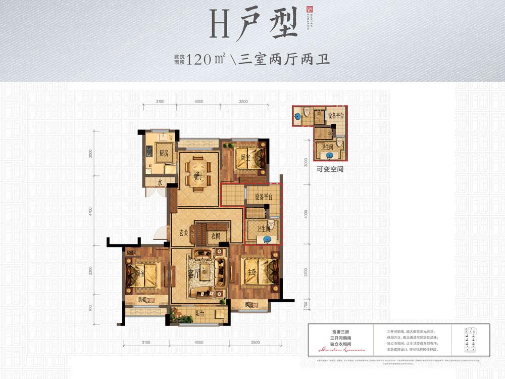 赞成·海月