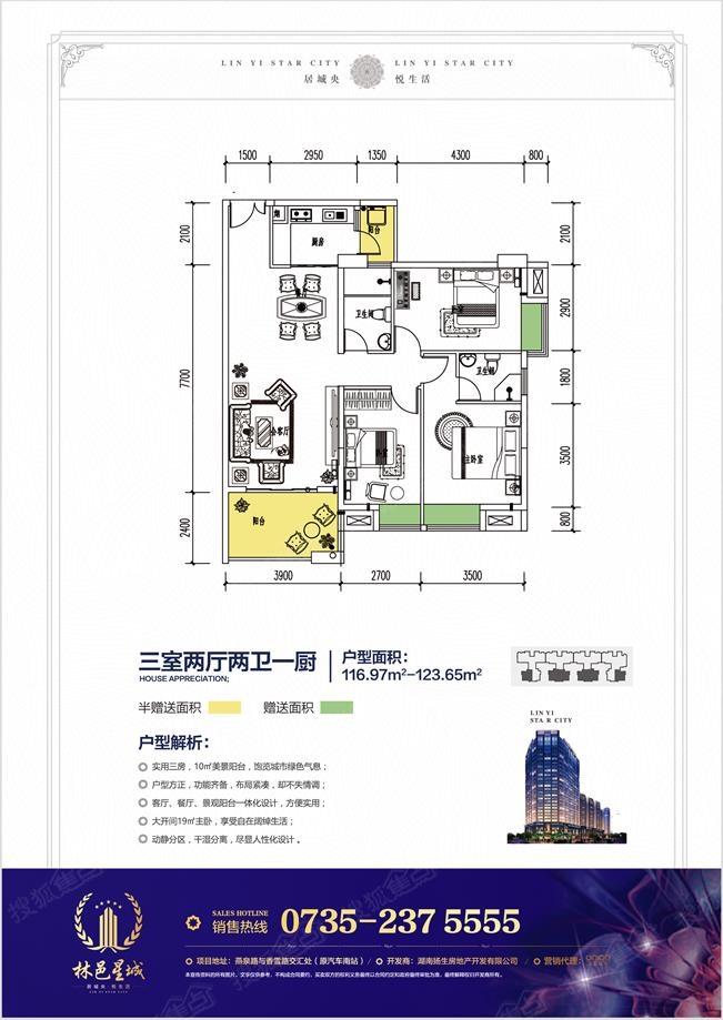 郴州林邑星城户型图图片