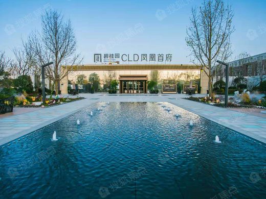 碧桂园cld凤凰首府_济南碧桂园cld凤凰首府详情-济南搜狐焦点网