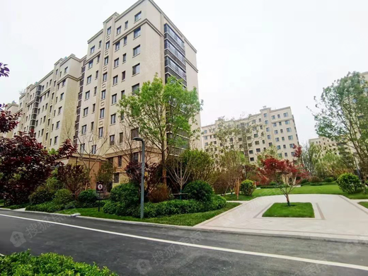 昌邑恒信玫瑰公馆_潍坊昌邑恒信玫瑰公馆详情-潍坊搜狐焦点网