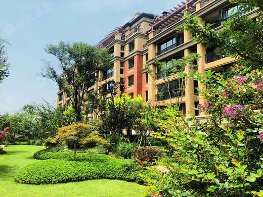 歌尔绿城_潍坊歌尔绿城详情-潍坊搜狐焦点网