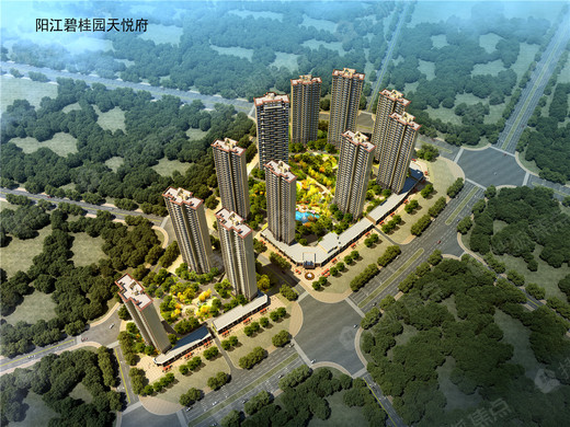 碧桂园天悦府