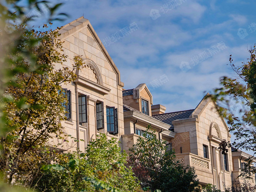 安澜西郊宽境_上海安澜西郊宽境详情-上海搜狐焦点网