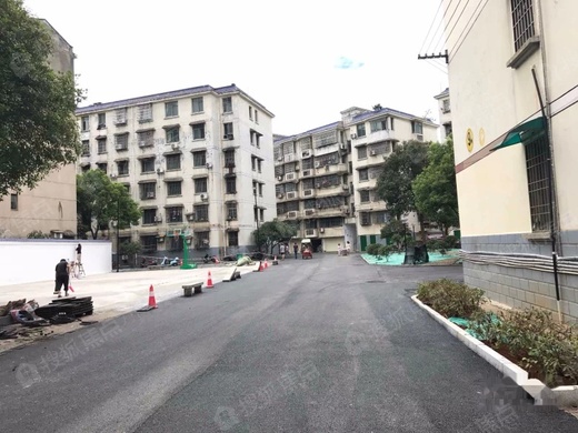 教师新村