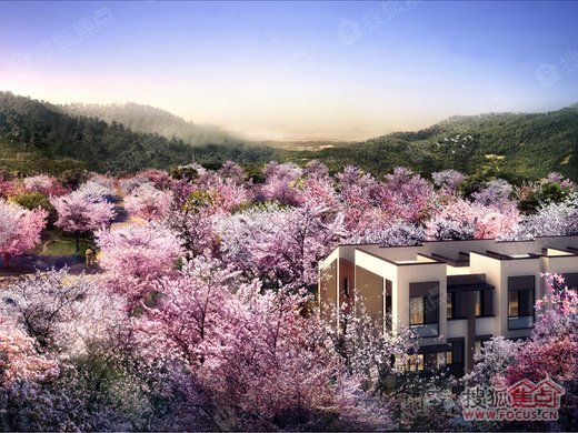 佘山珑原_上海佘山珑原详情-上海搜狐焦点网