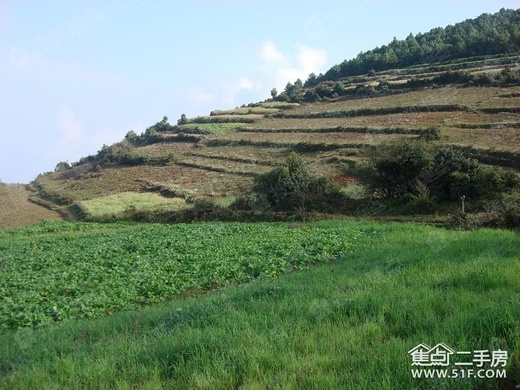 福安市上坪村图片