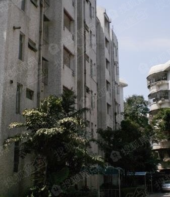 怡海花园_深圳怡海花园详情-深圳搜狐焦点网