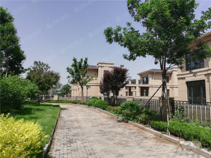 【揽翠林墅】东营揽翠林墅怎么样?占据城市中心区域独墅于林!