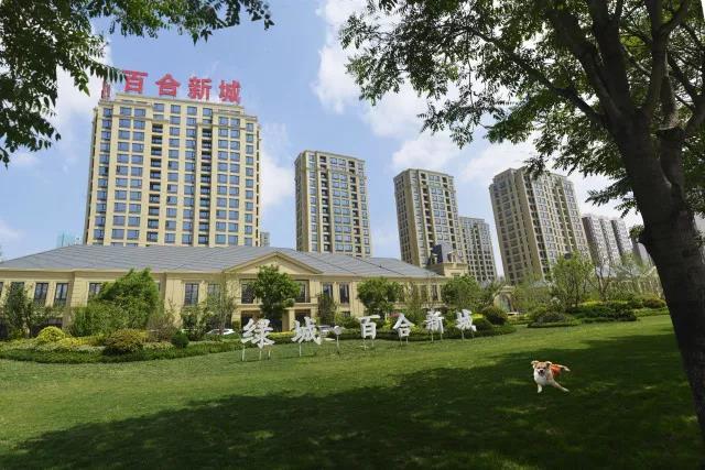 【民生绿城·百合新城】你眼中醉美的风景 就是我们生活的常态