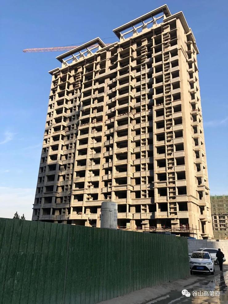 【谷山·高第府】11月9日工程进度