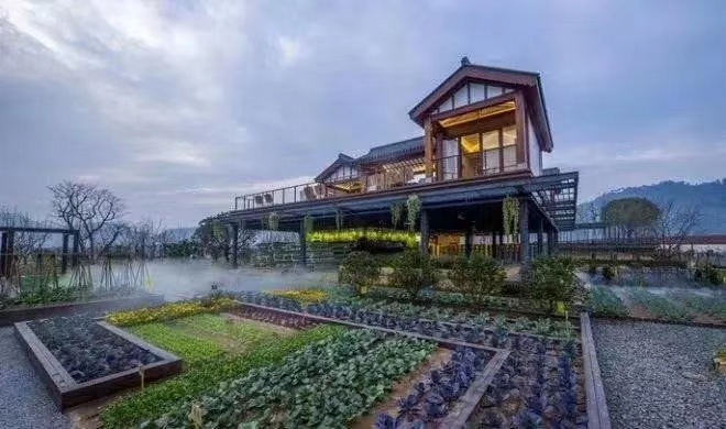 【孔雀谷】农业 文旅 康养的全新生活模式