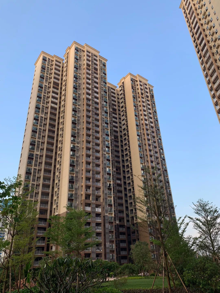 【雅居乐新地】八月家书 风吹麦浪,秋意渐浓又是一年金秋好时节