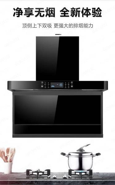 借力苏宁易购零售云小而美家电品牌走俏县镇市场(图1)