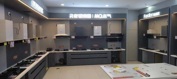 借力苏宁易购零售云小而美家电品牌走俏县镇市场(图2)