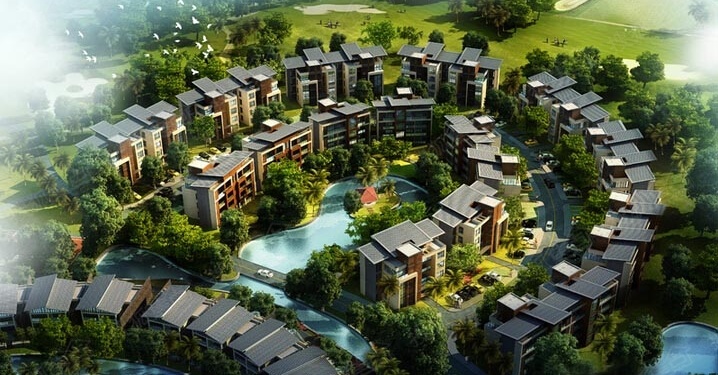 2020江门恩平区人均g_恩平有人养史宾格犬(2)