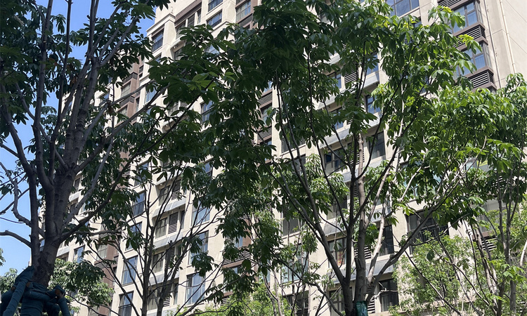 新凯达兰亭学府实景图