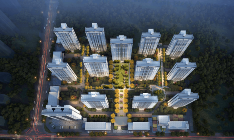 白桦林学畔效果图