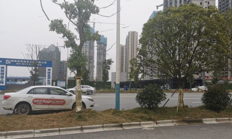 湘江悦城周边配套图