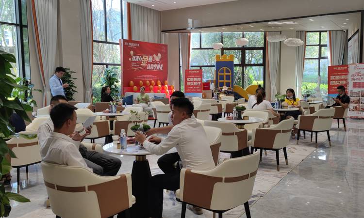 东欣·凤起银河实景图