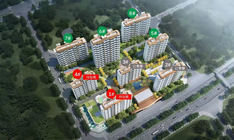 白桦林书香效果图