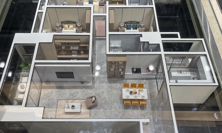 印象月湖苑实景图