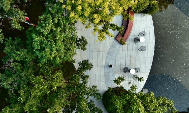 森林公园实景图