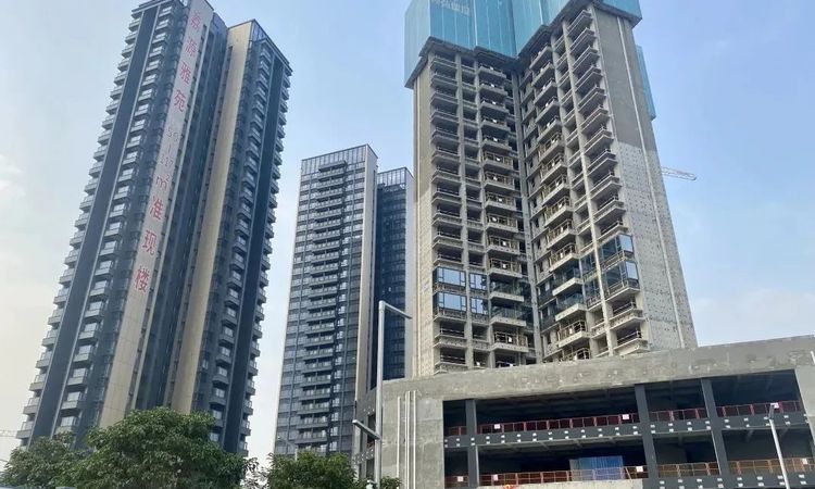 荔源雅苑实景图